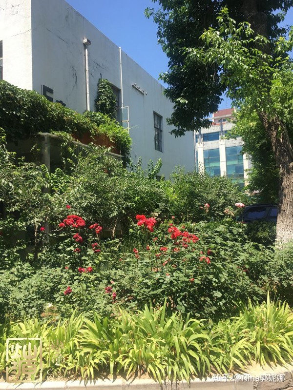 知乎F輪4.5億融資實錘 【多圖】探究知乎歷輪融資歷史及你不知道的知乎公司辦公室 知乎F輪4.5億融資實錘 【多圖】探究知乎歷輪融資歷史及你不知道的知乎公司辦公室